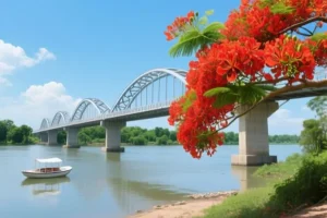 Mua bảo hiểm sức khỏe Bảo Việt tại thành phố Hải Phòng