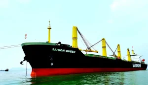 Tổn thất bộ phận trong bảo hiểm thân tàu thủy là gì?