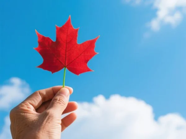 Bảo hiểm du học Canada