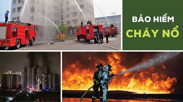 Điều khoản mở rộng bảo hiểm cháy nổ bắt buộc Bảo Việt