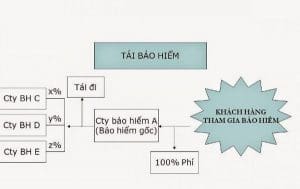 Tái bảo hiểm và đồng bảo hiểm là gì?