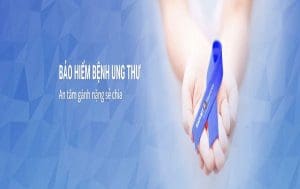 Tái tục và hủy bỏ hợp đồng bảo hiểm ung thư k care