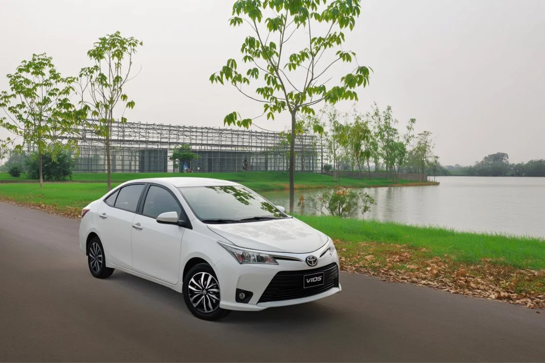 Bảo hiểm thân vỏ xe ô tô Vios
