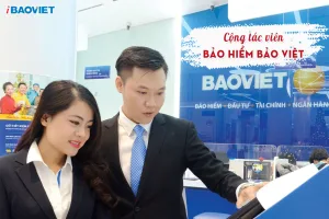 Cộng tác viên bảo hiểm Bảo Việt 