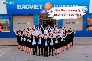 Giới thiệu về công ty bảo hiểm Bảo Việt 