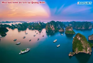 Mua bảo hiểm du lịch tại Quảng Ninh