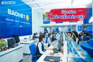 Chi nhánh Bảo hiểm Bảo Việt
