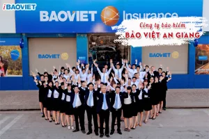 Công ty Bảo Việt An Giang