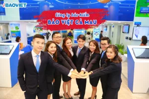 Công ty Bảo Việt Cà Mau