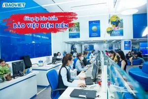 Công ty Bảo Việt Điện Biên