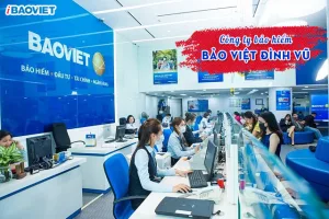 Công ty Bảo Việt Đình Vũ