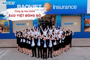 Công ty Bảo Việt Đông Đô