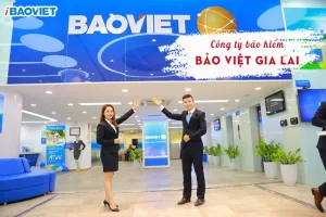 Công ty Bảo Việt Gia Lai