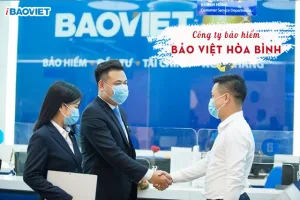 Công ty Bảo Việt Hòa Bình