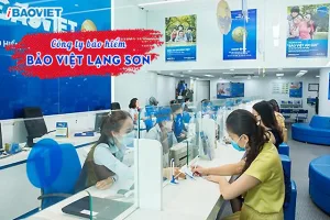Công ty Bảo Việt Lạng Sơn