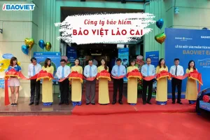 Công ty Bảo Việt Lào Cai