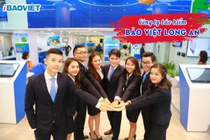 Công ty Bảo Việt Long An
