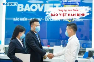 Công ty Bảo Việt Nam Định