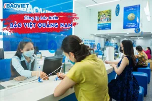 Công ty Bảo Việt Quảng Nam