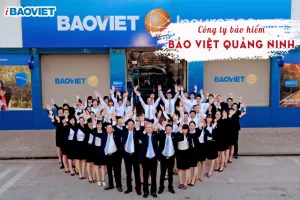 Công ty Bảo Việt Quảng Ninh