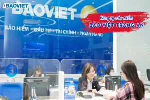 Công ty Bảo Việt Tràng An