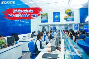 Giờ làm việc của bảo hiểm Bảo Việt