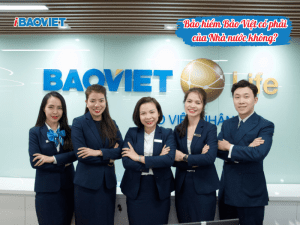 Bảo hiểm Bảo Việt có phải của Nhà nước không