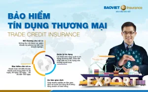 Bảo hiểm tín dụng thương mại