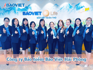 Công ty Bảo hiểm Bảo Việt Hải Phòng