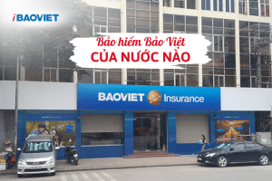Bảo hiểm Bảo Việt của nước nào