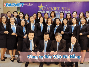 Công ty Bảo Việt Đà Nẵng
