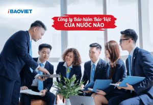 Công ty Bảo hiểm Bảo Việt của nước nào