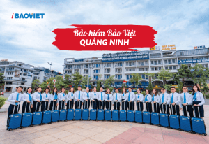 Bảo hiểm Bảo Việt Quảng Ninh