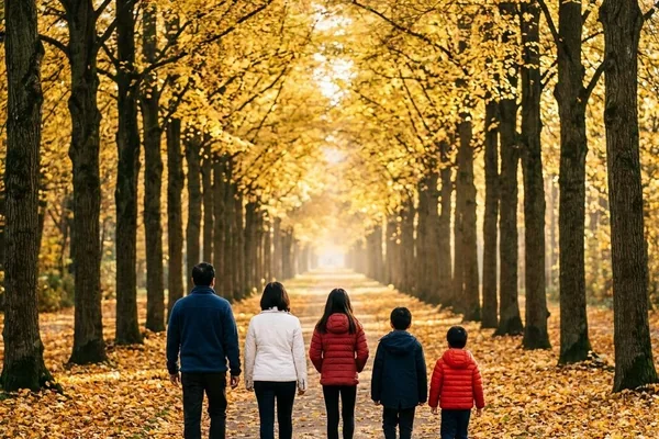 Du lịch xứ sở hoa ảnh đào với bảo hiểm du lịch nhật bản